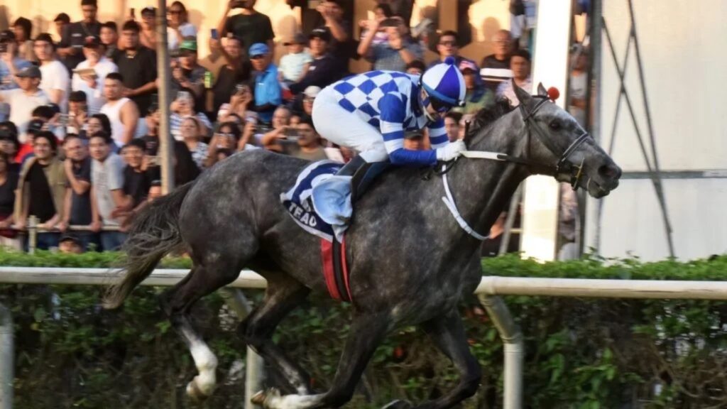 Teao llevará la bandera chilena a la Japan Cup junto al jinete Luis Torres