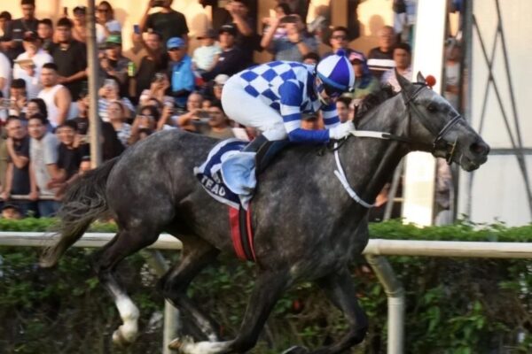 Teao llevará la bandera chilena a la Japan Cup junto al jinete Luis Torres